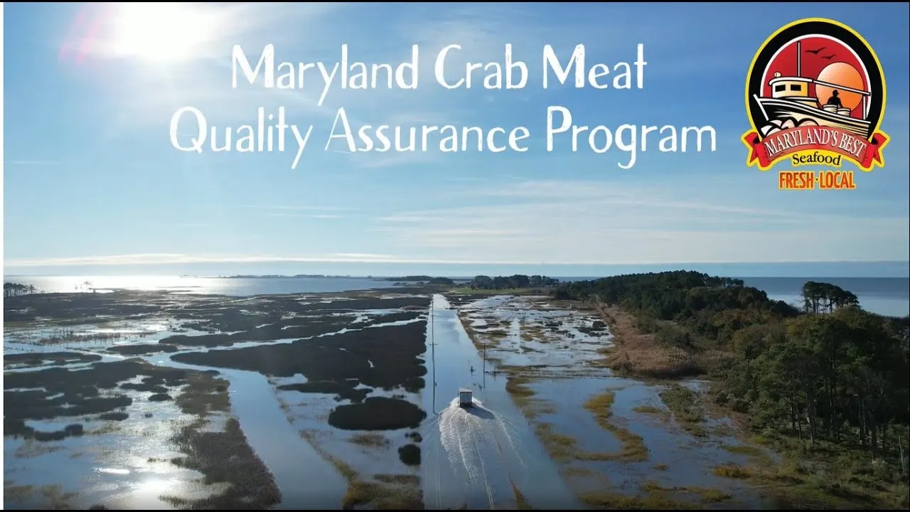 Watch: the Maryland Crab Meat Quality Assurance Program video